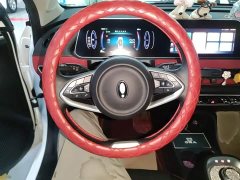 ORA Good Cat GT 2022 Mulan Edition 480km Long Range - ფოტო 11