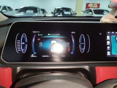 ORA Good Cat GT 2022 Mulan Edition 480km Long Range - ფოტო 12