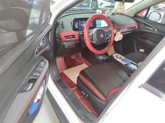 ORA Good Cat GT 2022 Mulan Edition 480km Long Range - ფოტო 16