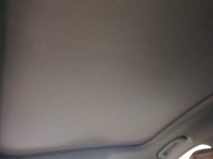 BYD Han 2020 EV Dual Motor High Performance Flagship - ფოტო 18