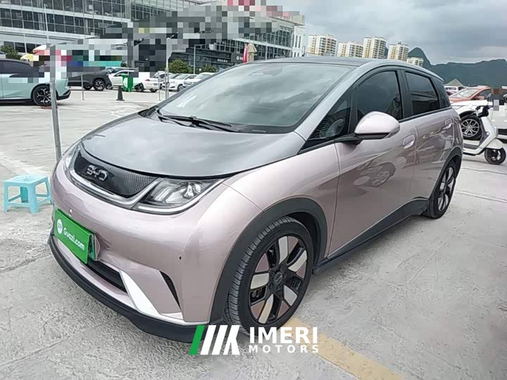BYD Dolphin 401km Knight Edition - car from China