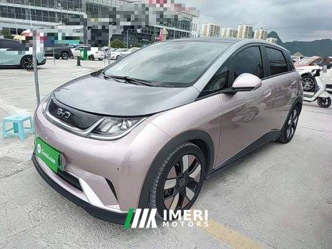 BYD Dolphin 401km Knight Edition - car from China
