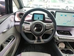BYD Dolphin 401km Knight Edition - photo 11