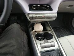 BYD Dolphin 401km Knight Edition - photo 14
