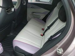 BYD Dolphin 401km Knight Edition - photo 17