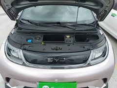 BYD Dolphin 401km Knight Edition - photo 20