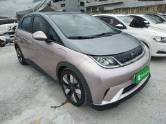 BYD Dolphin 401km Knight Edition - photo 4