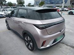 BYD Dolphin 401km Knight Edition - photo 5