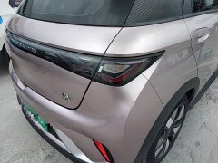 BYD Dolphin 401km Knight Edition - photo 8