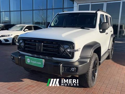 2024 Tank 300 2023 Off-Road Edition 2.0T Conqueror - ავტომობილი ჩინეთიდან