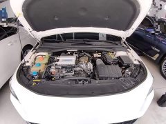 Trumpchi Leopard 2021 270T DCT J11 - ფოტო 20