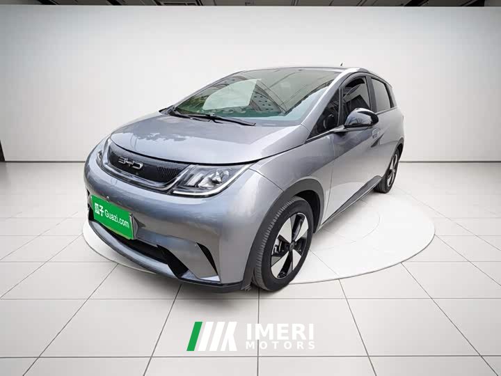 BYD Dolphin 420km Freedom Edition - ავტომობილი ჩინეთიდან