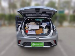 BYD Dolphin 420km Freedom Edition - ფოტო 10
