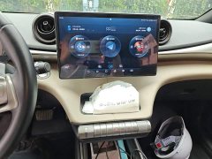 BYD Dolphin 420km Freedom Edition - ფოტო 6