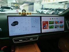 Li Auto L8 Pro - ფოტო 13
