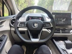 BYD Yuan Pro Love for Life Edition - ფოტო 11