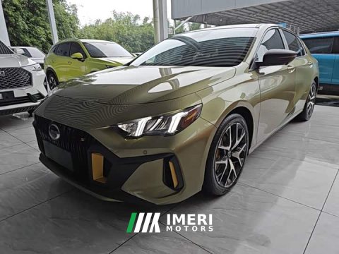 2021 Trumpchi Leopard 270T DCT J16 - car from China