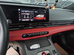 Trumpchi Leopard 270T DCT J16 - photo 13