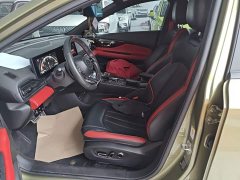 Trumpchi Leopard 270T DCT J16 - photo 15