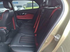 Trumpchi Leopard 270T DCT J16 - photo 17