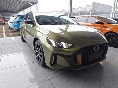 Trumpchi Leopard 270T DCT J16 - photo 4
