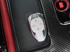 Trumpchi Leopard 270T DCT J16 - photo 9