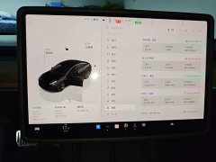 Tesla Model 3 Rear-Wheel Drive - ფოტო 12
