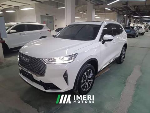 2025 Haval H6 1.5T Two-Wheel Drive Classic Edition - car from China
