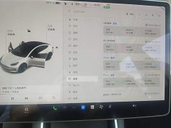 Tesla Model 3 2020 Facelift Standard Range RWD Upgrade - ფოტო 12