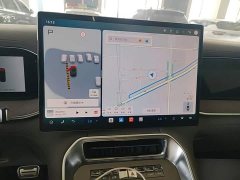 Denza BYD Denza N9 Premium Edition - ფოტო 13