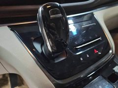 Buick GL8 Land Executive Cabin 652T Luxury - ფოტო 9