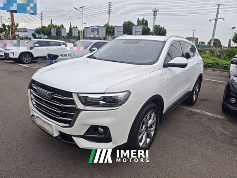 2022 Haval H6 National Trend 1.5T Automatic Champion Edition