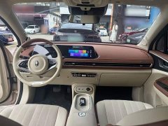 ORA Good Cat 401km Standard Range Deluxe LFP - ფოტო 10