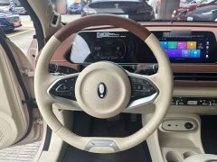 ORA Good Cat 401km Standard Range Deluxe LFP - ფოტო 11