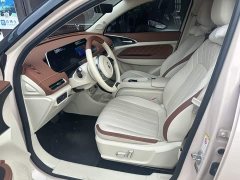 ORA Good Cat 401km Standard Range Deluxe LFP - ფოტო 13