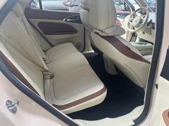 ORA Good Cat 401km Standard Range Deluxe LFP - ფოტო 2