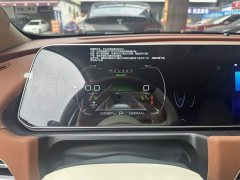 ORA Good Cat 401km Standard Range Deluxe LFP - ფოტო 4