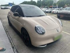 ORA Good Cat 401km Standard Range Deluxe LFP - ფოტო 6