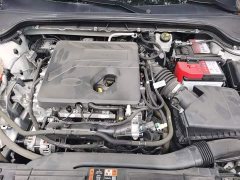 Ford Focus Hatchback EcoBoost 180 Automatic ST Line - ფოტო 11