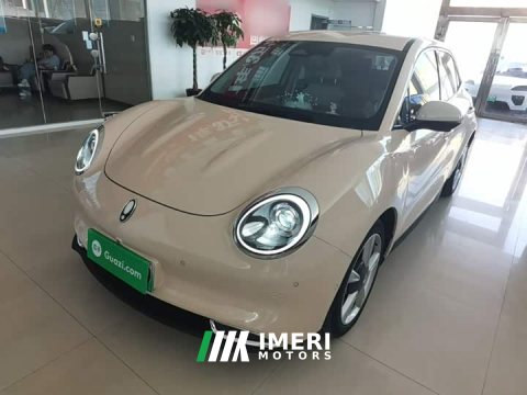 2021 ORA Good Cat 400km Standard Range Athena Edition LFP Battery - ავტომობილი ჩინეთიდან