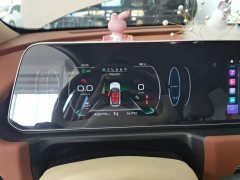 ORA Good Cat 400km Standard Range Athena Edition LFP Battery - ფოტო 12