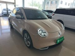 ORA Good Cat 400km Standard Range Athena Edition LFP Battery - ფოტო 4