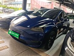 Tesla Model Y Long Range All-Wheel Drive 3D7 - ფოტო 2