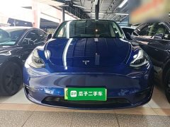 Tesla Model Y Long Range All-Wheel Drive 3D7 - ფოტო 3