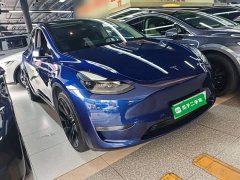 Tesla Model Y Long Range All-Wheel Drive 3D7 - ფოტო 4