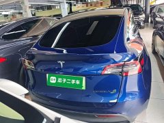 Tesla Model Y Long Range All-Wheel Drive 3D7 - ფოტო 6