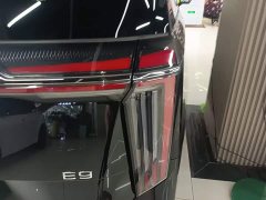 GAC Aion E9 Champion Edition - ფოტო 8