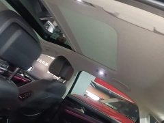 Volkswagen Passat Facelift 330TSI Starry Sky Luxury Edition - ფოტო 18
