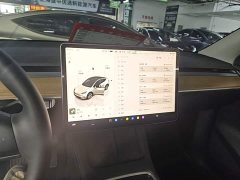 Tesla Model Y Long Range All-Wheel Drive - ფოტო 13