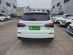 SAIC Roewe RX5 2023 PLUS 330TGI Automatic Leading Trend Smart Value Edition - ფოტო 6